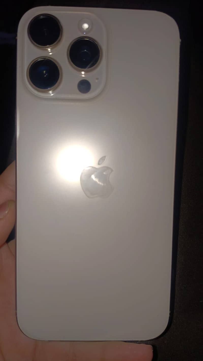 Apple iPhone 16 Pro Max 1