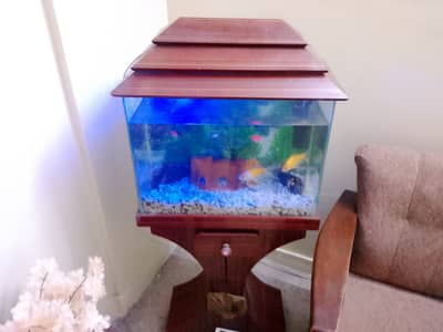 Aquarium for sale