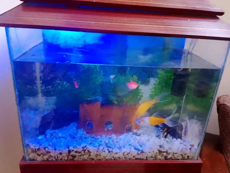 Aquarium for sale — photo 2