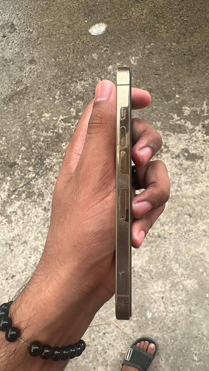 Apple iPhone 13 Pro 2
