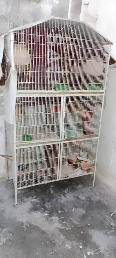 Bird Cage with Top Colony & 4 Compartments – Good Condition