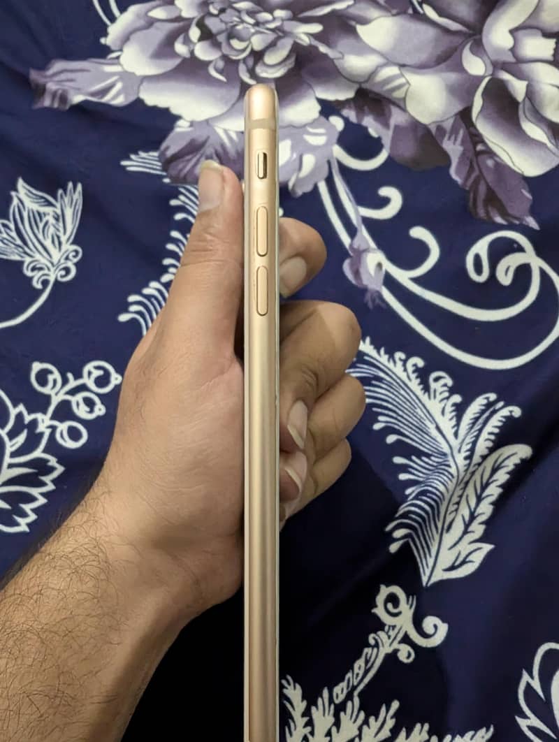 Apple iPhone 8 Plus 1
