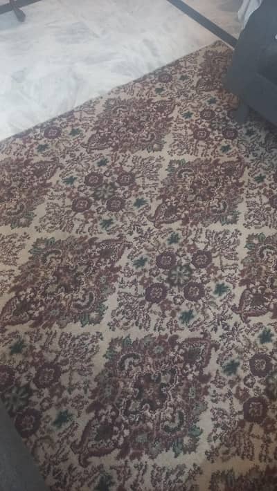 Rugs in good condition