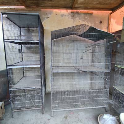 birds cages