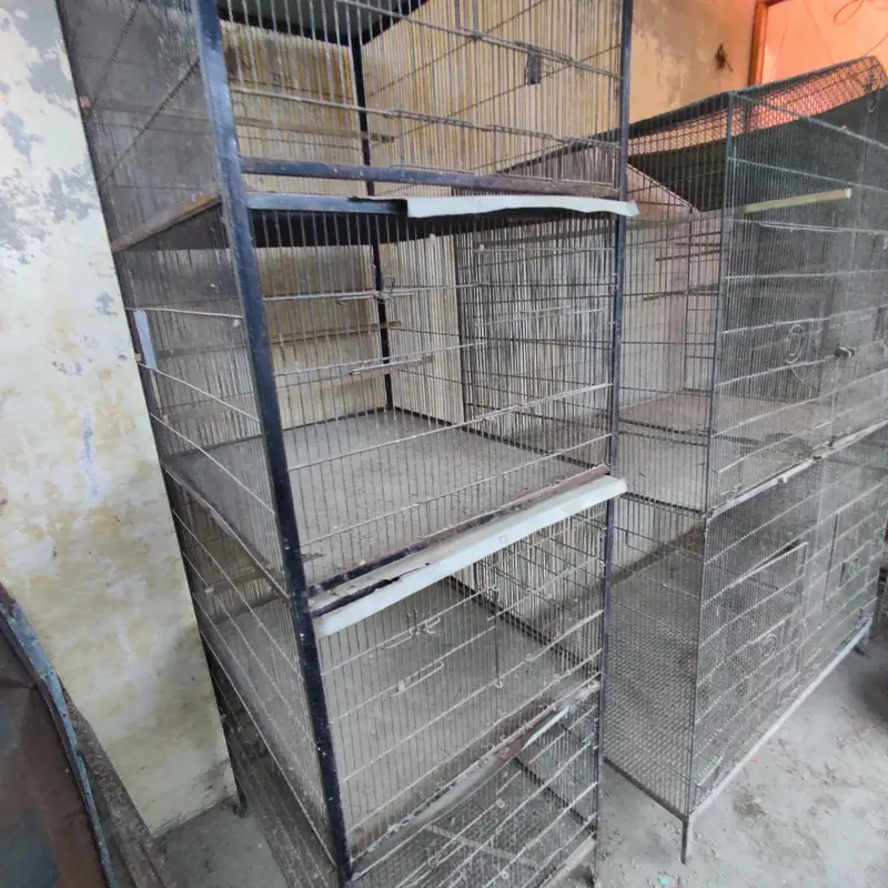 birds cages — photo 4