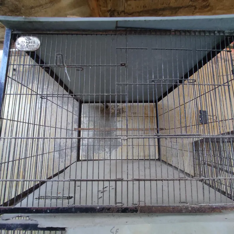 birds cages — photo 5