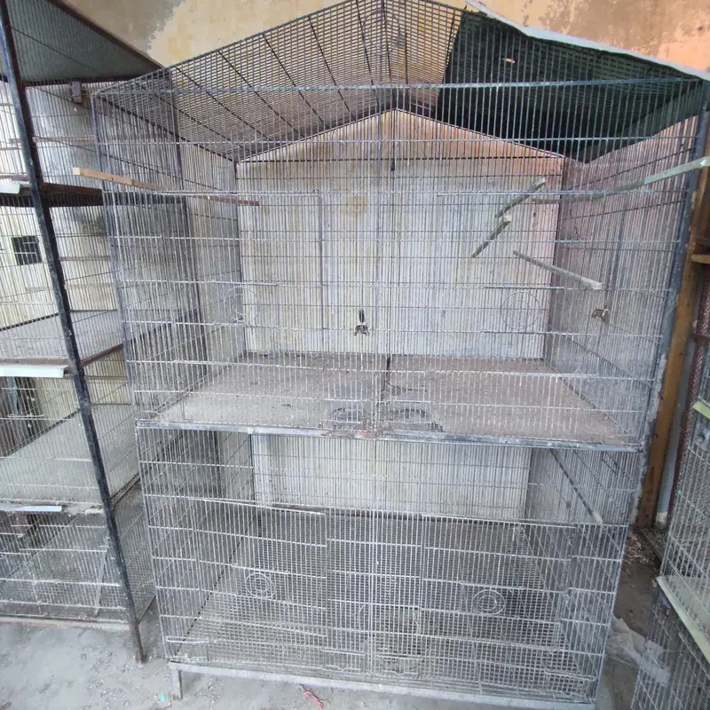 birds cages — photo 6