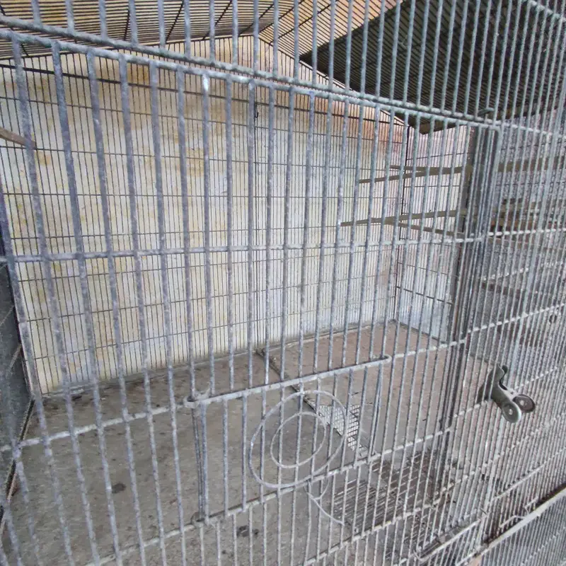 birds cages — photo 7