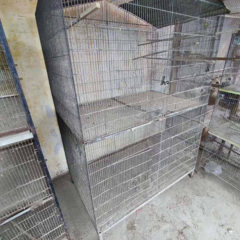 birds cages — photo 8