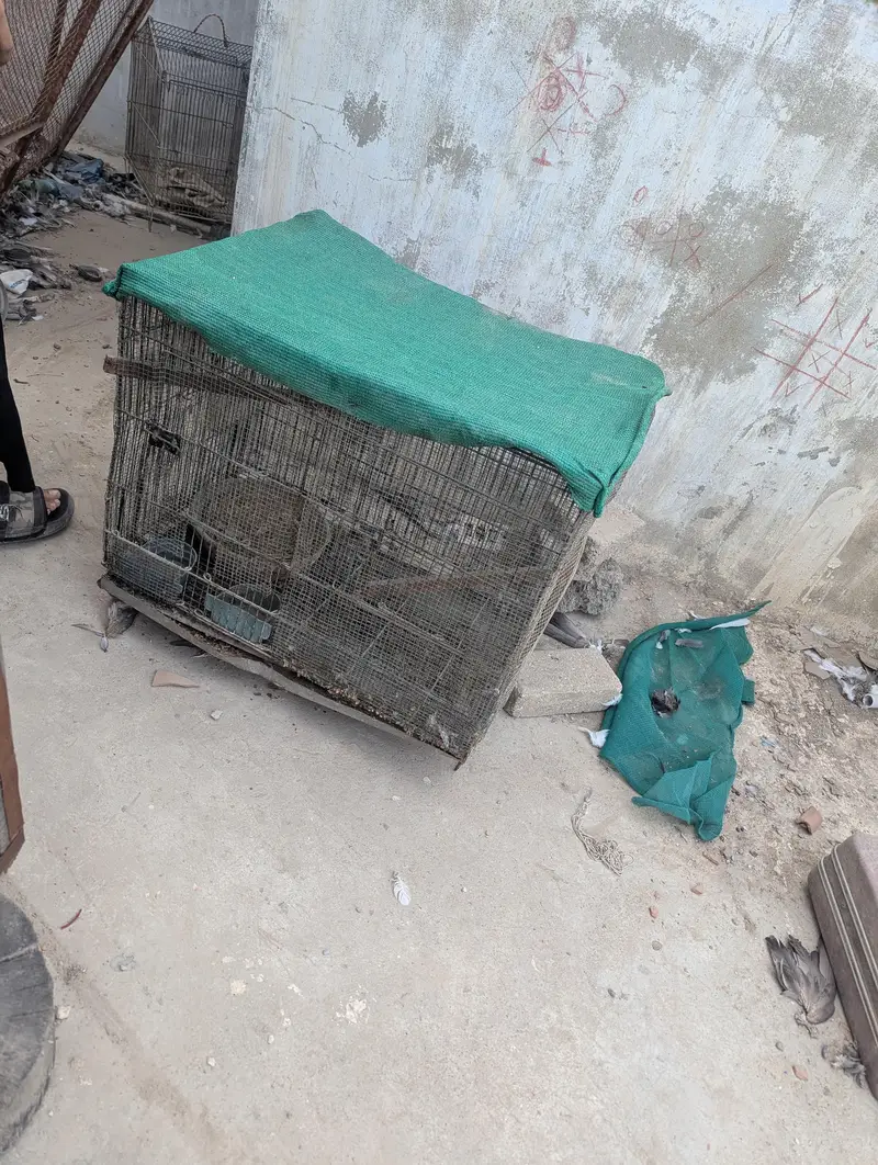 “Used Cage for Sale – Good Condition | Affordable Price” — photo 2