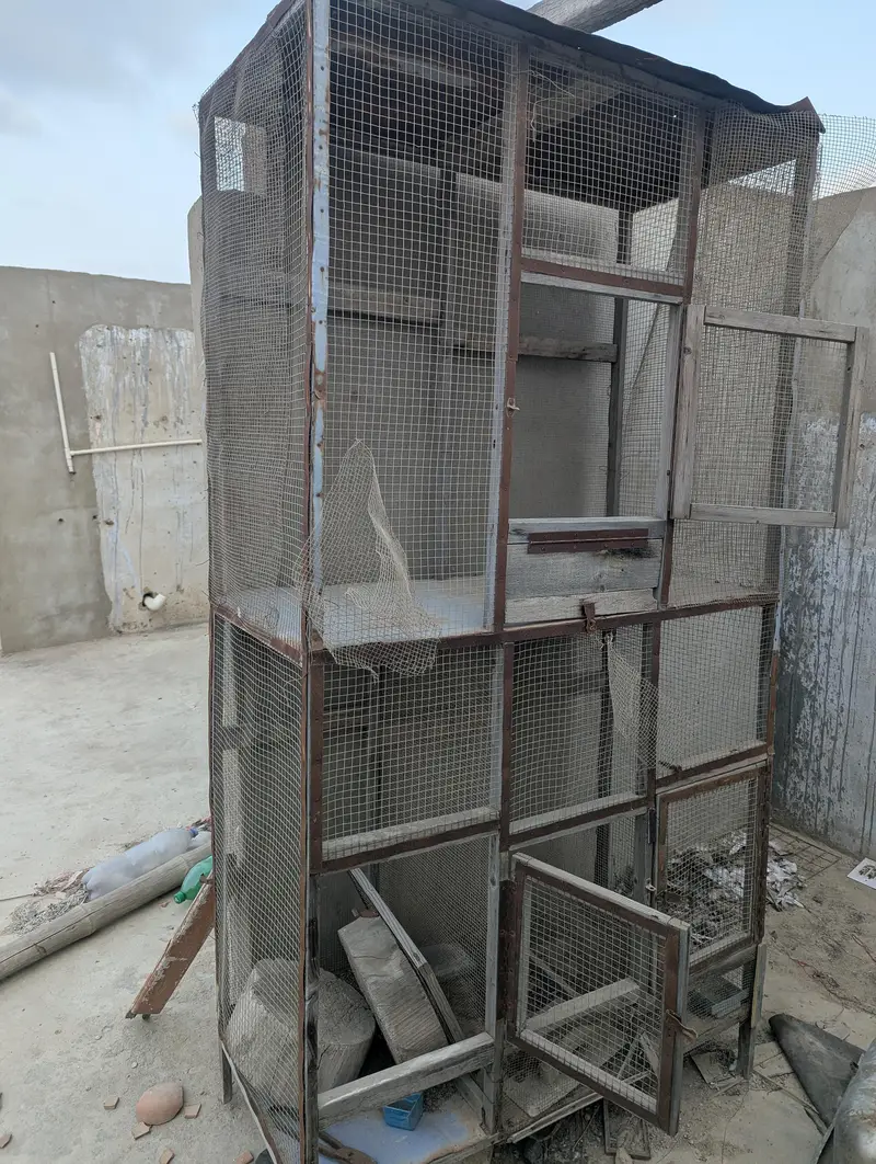 “Used Cage for Sale – Good Condition | Affordable Price” — photo 3