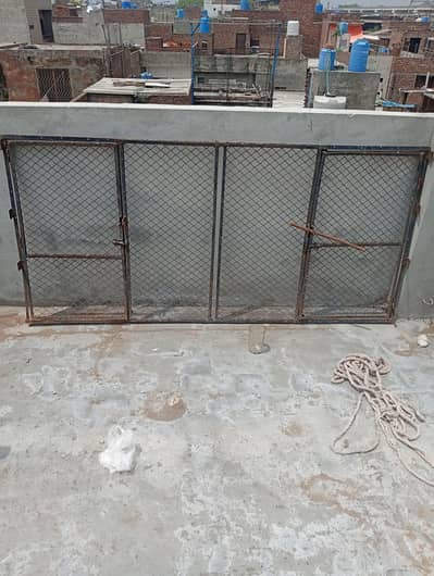 4 cage farnt