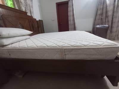 Master Celesta Master molty foam mattress king size with warranty