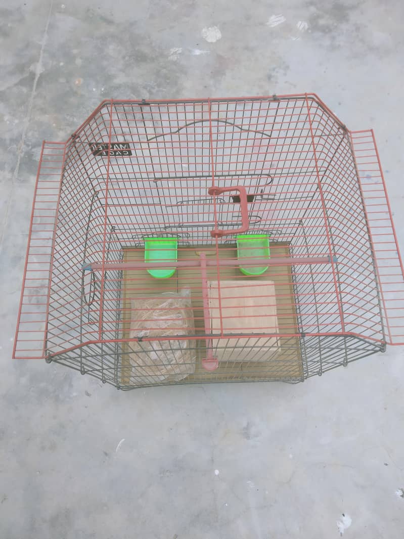 Master Cage 1