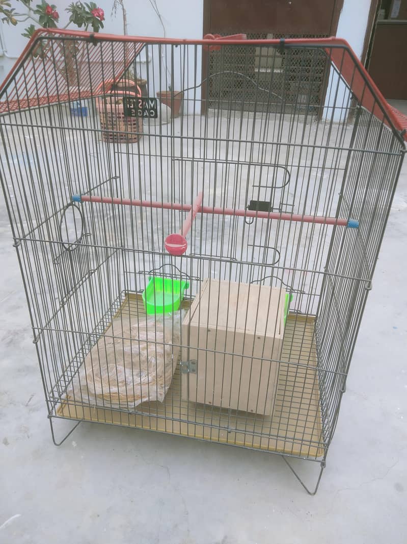 Master Cage 2