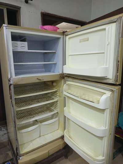 Refrigerator & Freezer