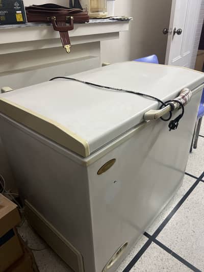 Waves WDF Freezer | Excellent Condition