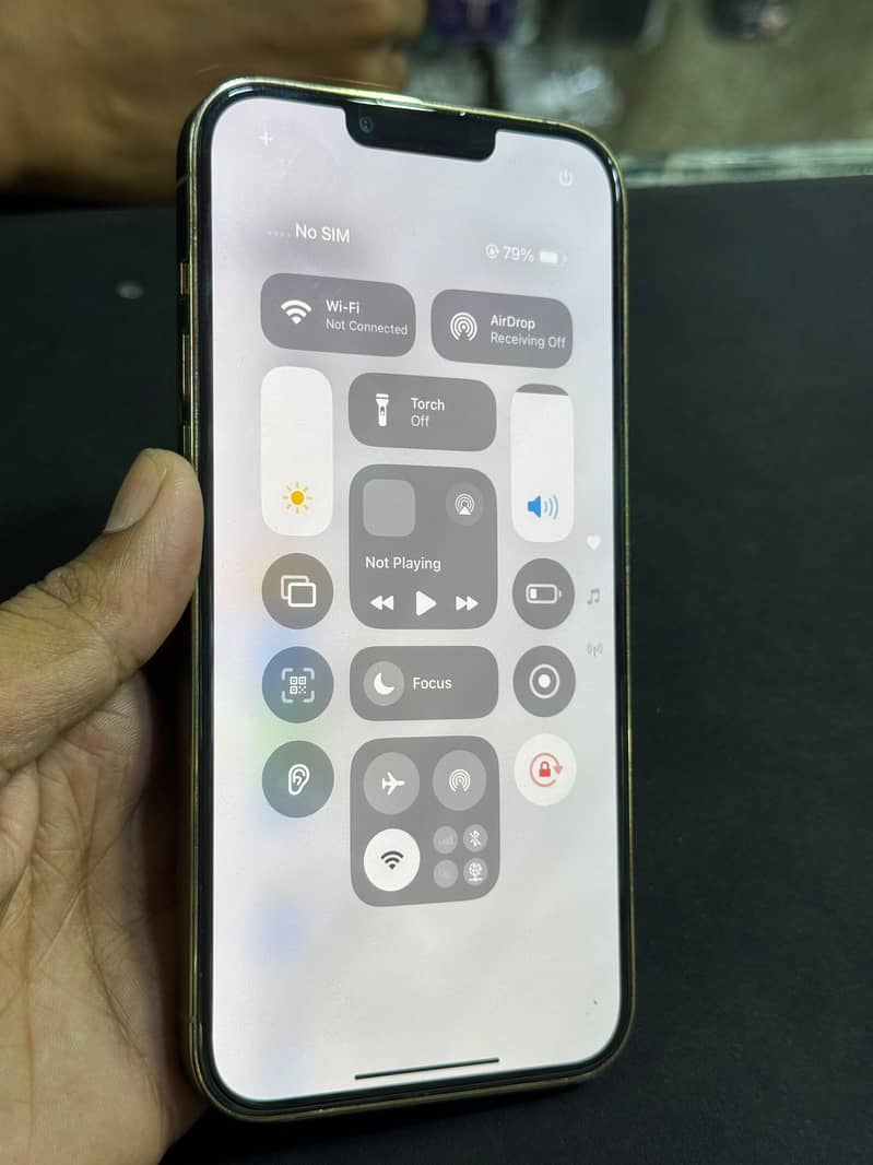 Apple iPhone 13 Pro Max 6