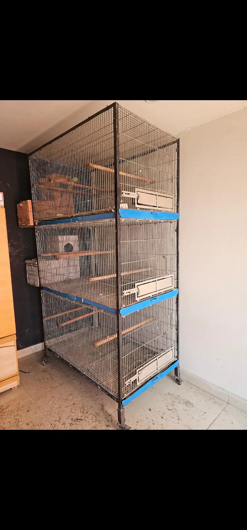 Cage For Sale — photo 2