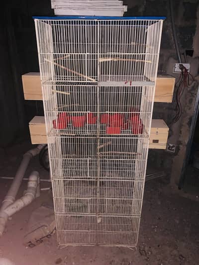 Parrot Cage