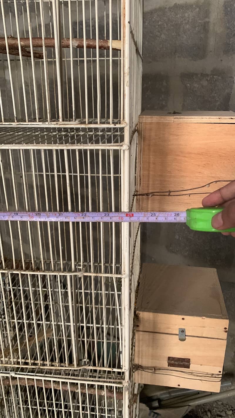 Parrot Cage 3