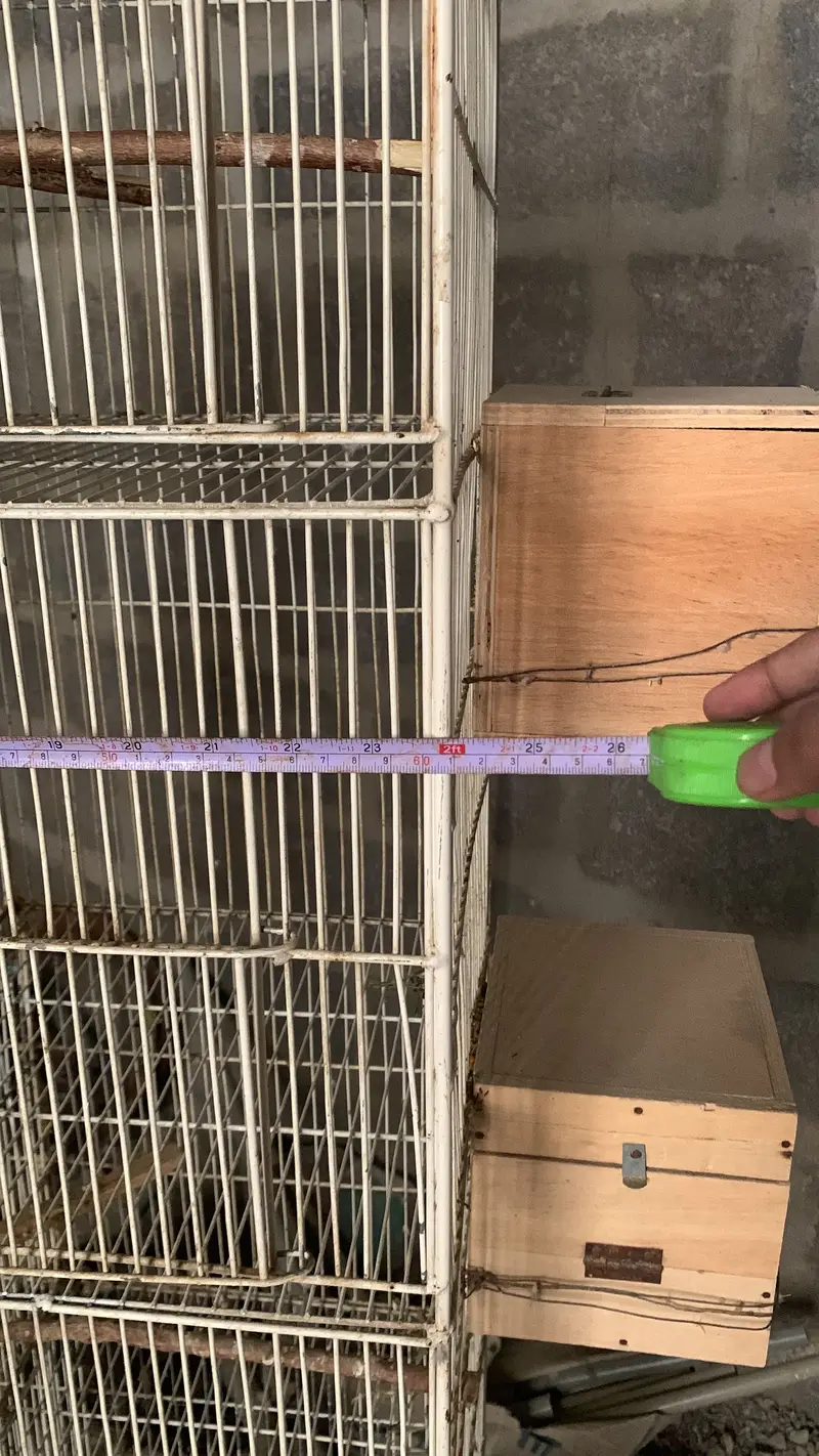 Parrot Cage — photo 4