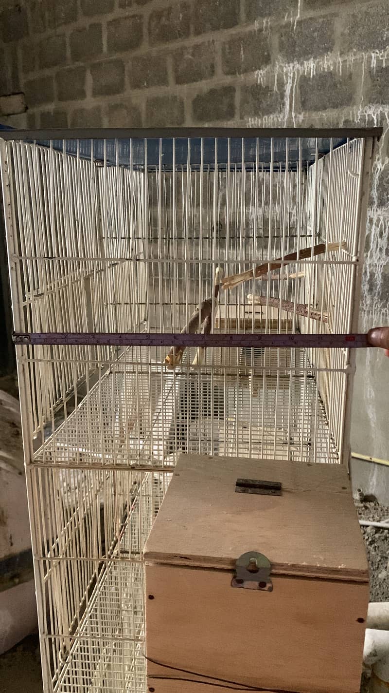 Parrot Cage 5