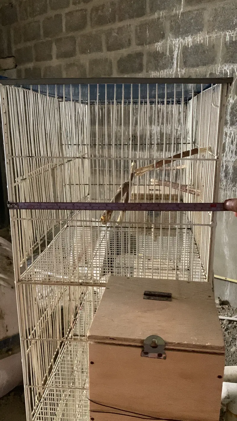 Parrot Cage — photo 6