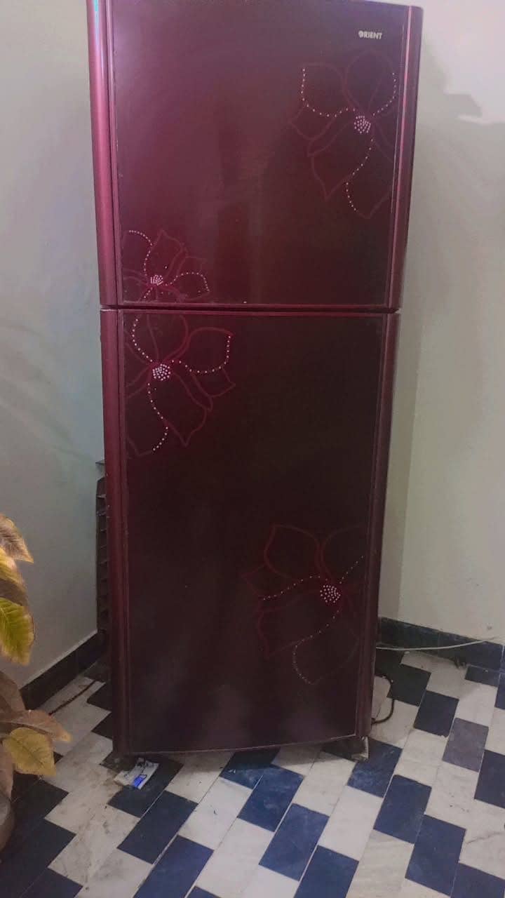 Fridge 1