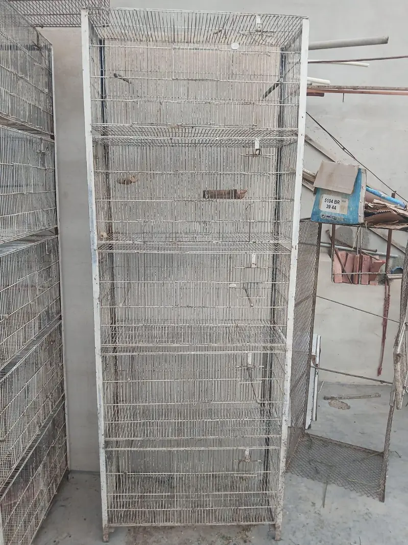 cages and box — photo 4