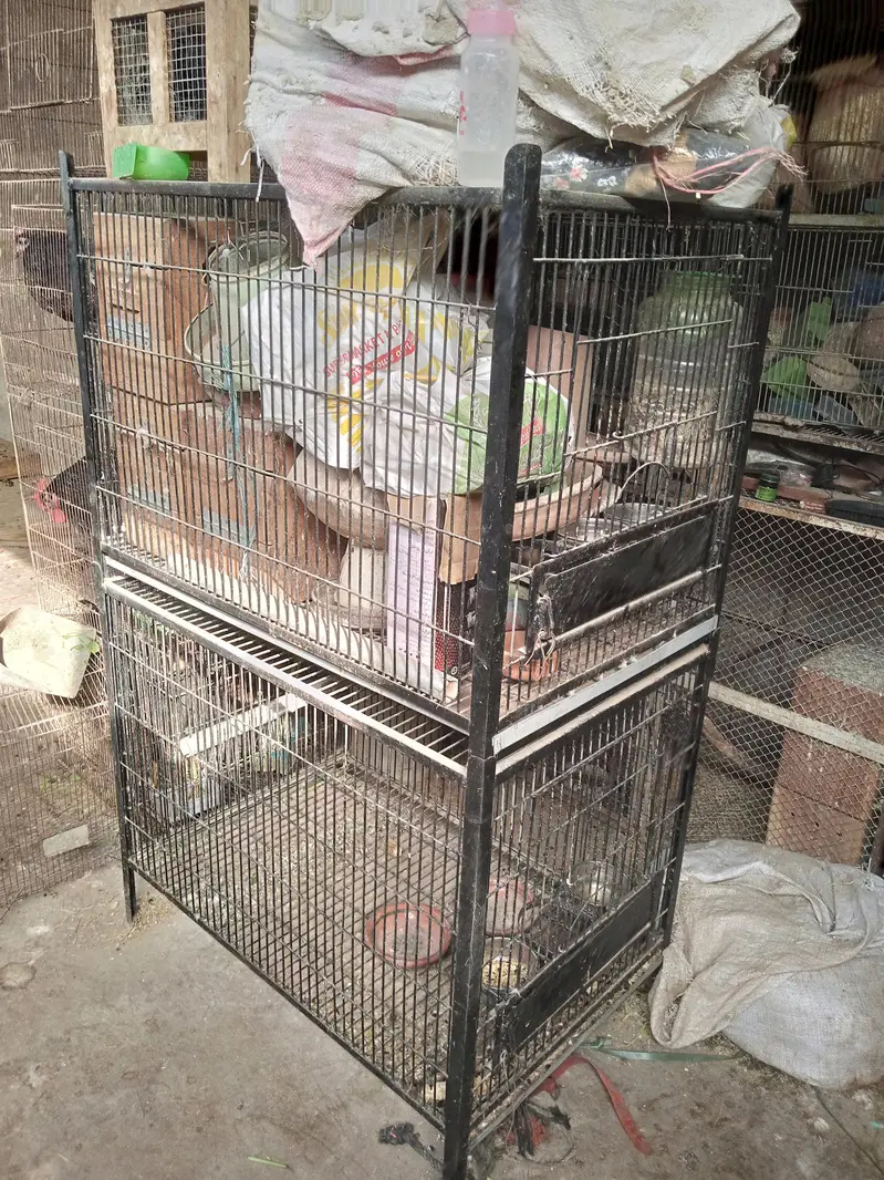 cages and box — photo 5
