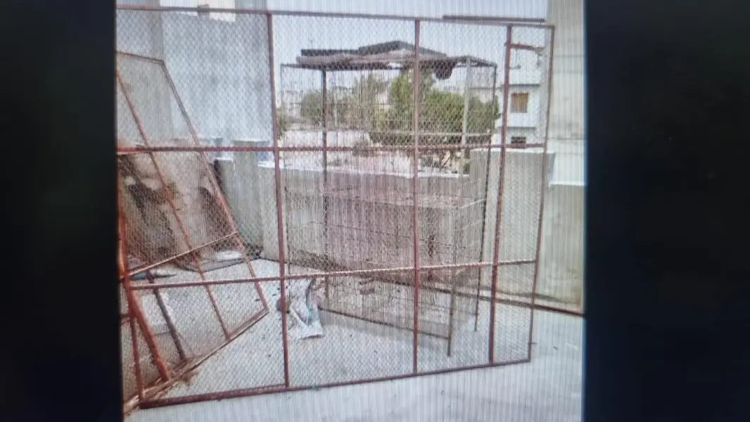 cages and box — photo 7