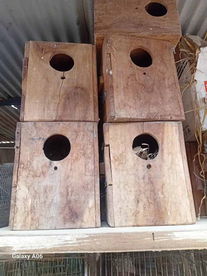 cages and box — photo 8