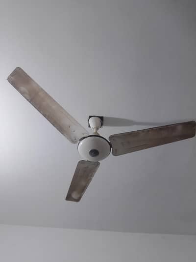 PAK FAN  BIG MOTOR