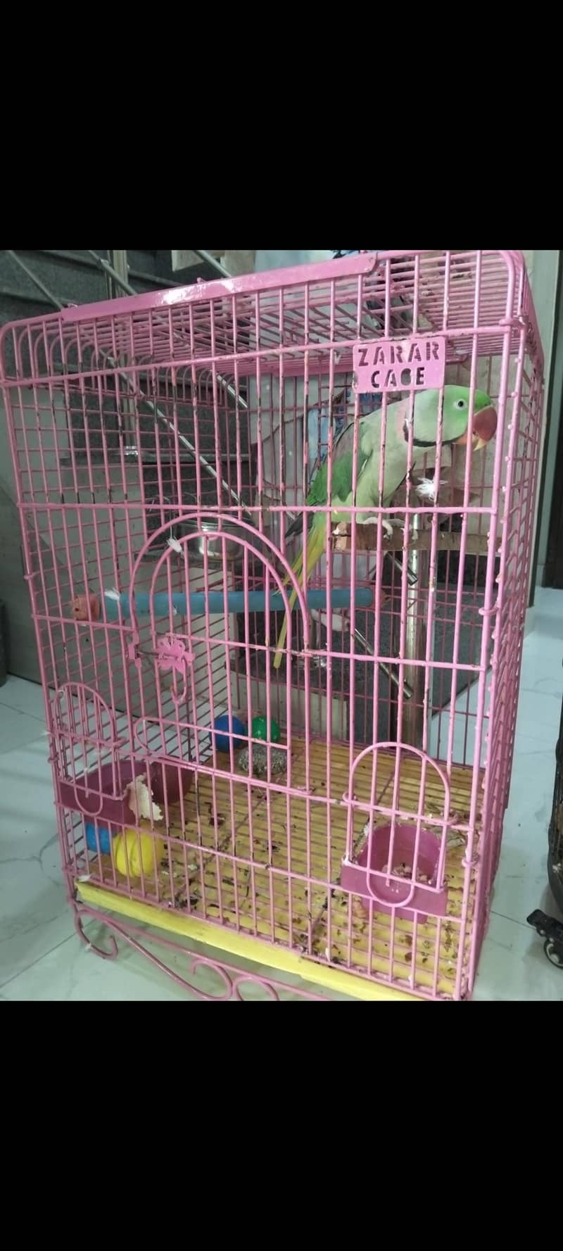 cage only 1