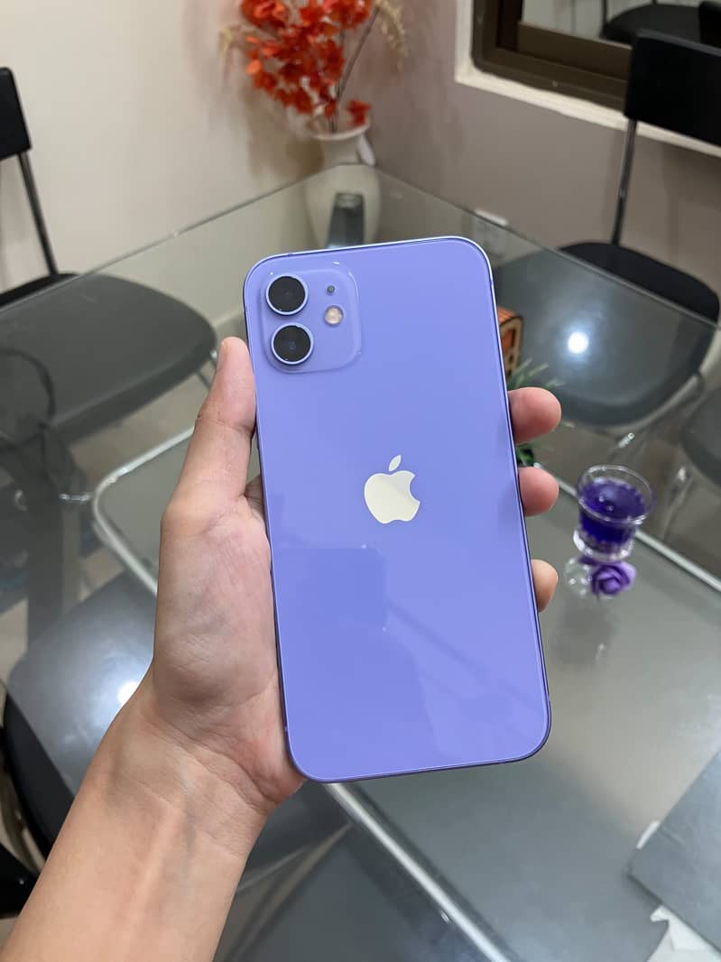 Apple iPhone 12 0