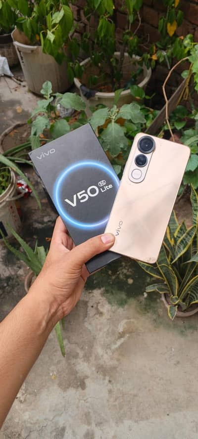 vivo v50lite 5G 12+12=24/256 warranty ma ha mobile full box03707740600