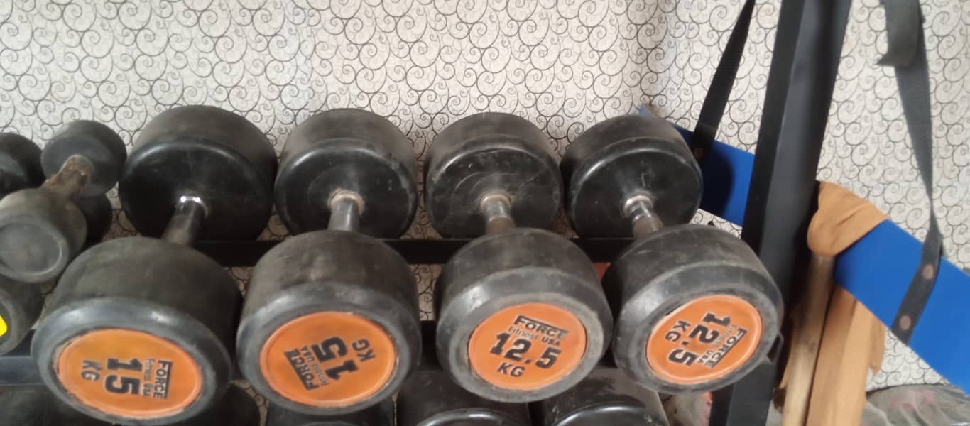 dumbbell home gym setup 4