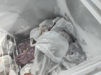 Waves WDF-310 Deep freezer12 cubic  Non inverter size for sale