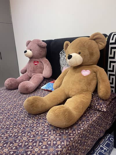 Giant teady bears