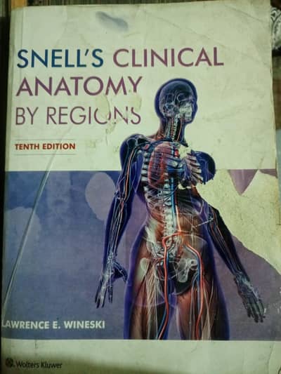 Snells Clinical Anatomy By Regions Tenth Edition