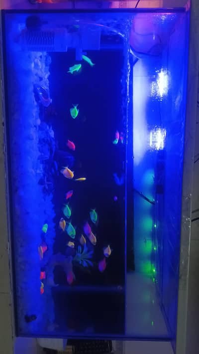 Aquarium for sale