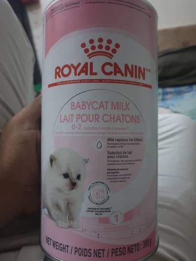 Milk Replacer for kitten imported new with feeder