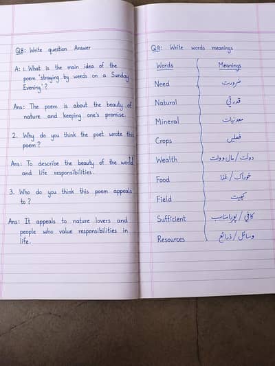 assignment writing