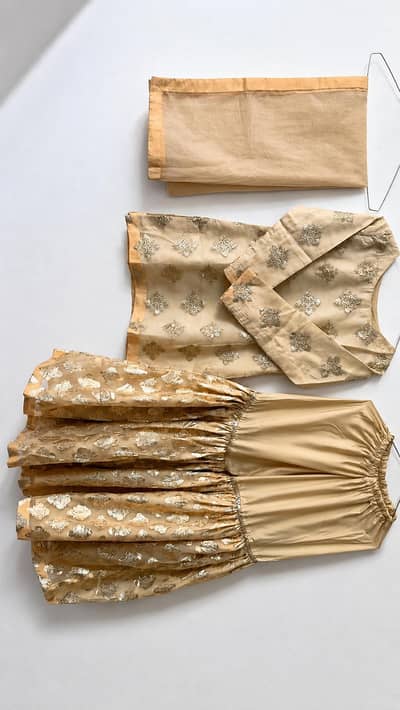Organza Gharara