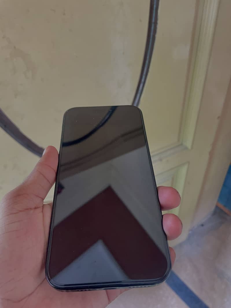 Apple iPhone 16 Pro Max 2