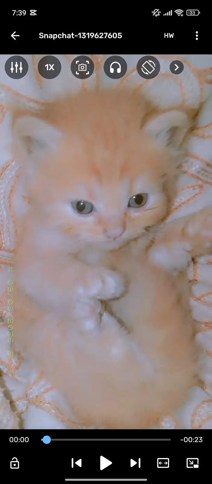 Persian cate baby 1 month 2 core hai — photo 3