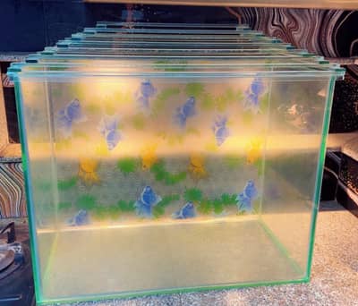 Fish Aquirium