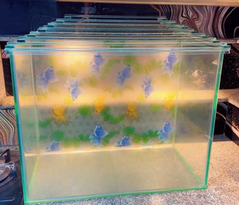 Fish Aquirium
