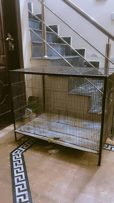 3x2 Feet Bird Cage Thick wire